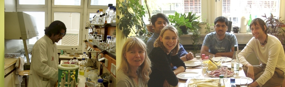 Karlovsky lab 2003