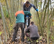 Karlovsky lab 2020: Soil sampling for microbiome analysis