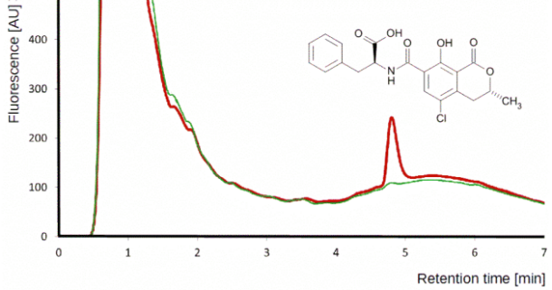 Ochratoxin A