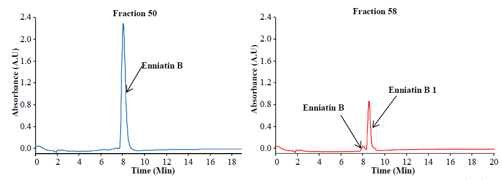 Purification of enniatins