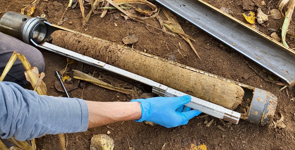 Image: Karlovsky lab: Soil sampling in microbiome research