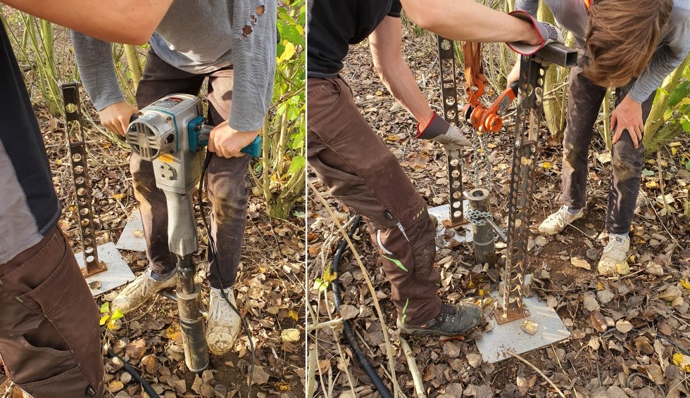 Image: Karlovsky lab: Soil sampling in microbiome research