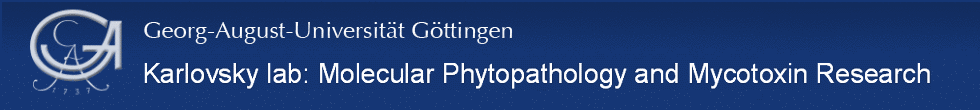 Karlovsky lab: Molecular Phytopathology and 
        Mycotoxin Research